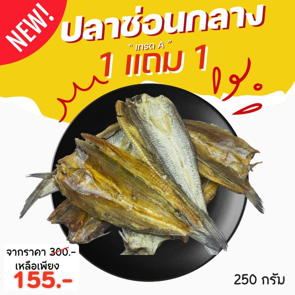 [1แถม1] ปลาช่อนกลางใหญ่ทะเลตากแห้ง คัดเกรดA  250g+250g ปลาช่อนกลาง มันส์นัว ไม่เค็ม หอม คัดอย่างดี สดกว่านี้ต้องไปกินในท – โปรปัง