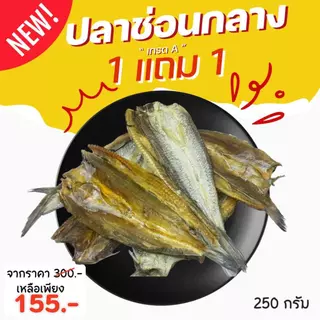 [1แถม1] ปลาช่อนกลางใหญ่ทะเลตากแห้ง คัดเกรดA 250g+250g ปลาช่อนกลาง มันส์นัว ไม่เค็ม หอม คัดอย่างดี สดกว่านี้ต้องไปกินในท
