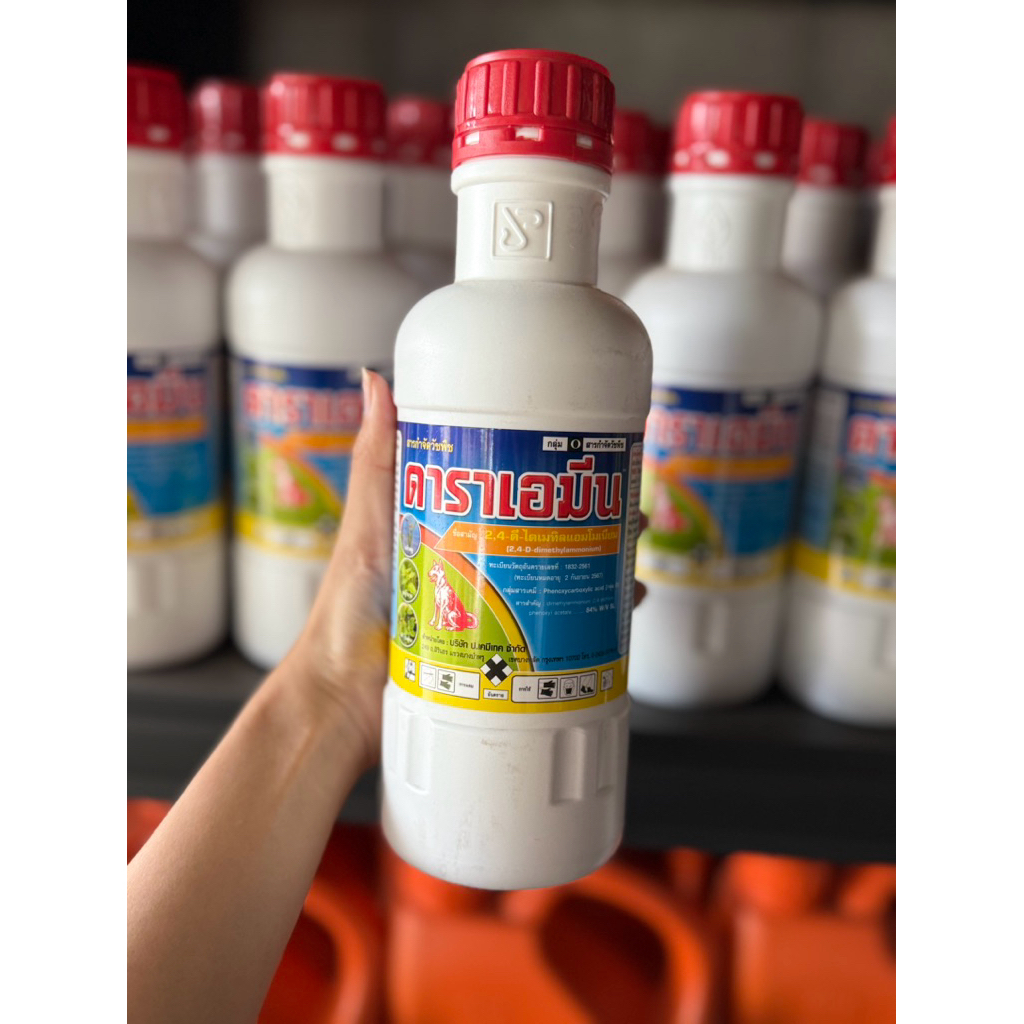 ดาราเอมีน หมาแดงน้ำ 2-4ดี ฆ่าหญ้าใบกว้างเช่นผักปอดนา ผักบุ้ง กก หนวดปลาดุก แห้วหมู