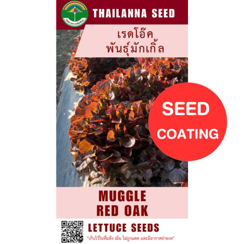 เมล็ดพันธุ์ผักสลัด เรดโอ๊ค พันธุ์มักเกิ้ล ( ขนาด 0.5 กรัม ) ( เมล็ดเคลือบ ) รหัสสินค้า SSC 1006