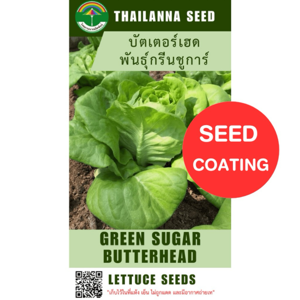 เมล็ดพันธุ์ผักสลัด บัตเตอร์เฮด พันธุ์กรีนชูการ์ ( ขนาด 0.5 กรัม ) ( เมล็ดเคลือบ ) รหัสสินค้า SSC 1014