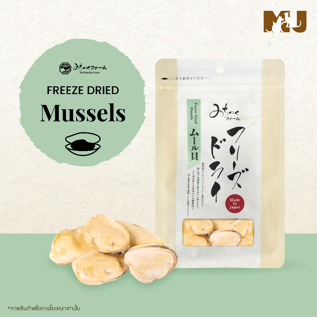 Freeze Dried Mussels 40g. ฟรีซดรายหอยแมลงภู่ ขนมสำหรับสัตว์เลี้ยง
