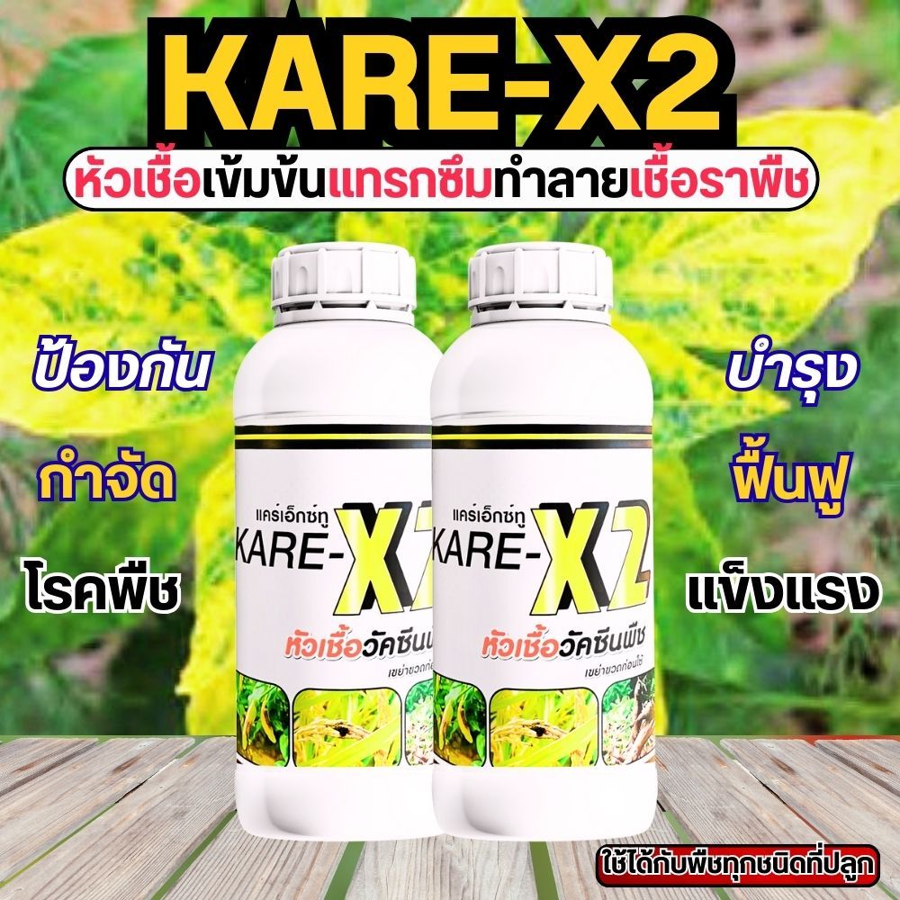 ยับยั้งเชื้อราพืชได้ทุกโรค ป้องกันการเกิดซ้ำ วัคซีนพืช Kare-X2เข้มข้น หยุด รากเน่าโคนเน่า คอดินเน่า