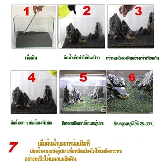 ถูกสุด💥เมล็ดไม้น้ำ ตู้ปลา เมล็ดพันธุ์ไม้น้ำ ปลูกตกแต่งตู้ปลา อ่างบัว บ่อปลาปลูกในน้ำมี6ชนิดเลี้ยงปลา