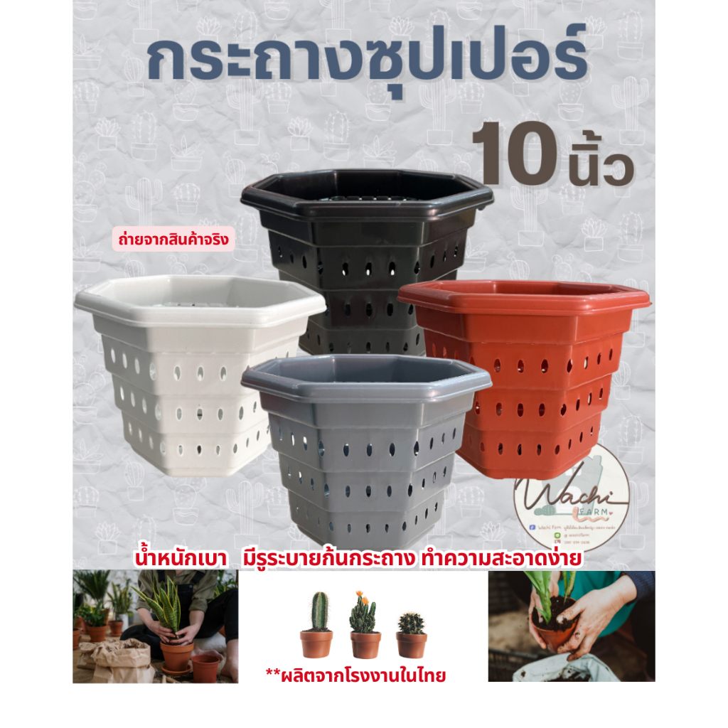 กระถางซุปเปอร์ กระถางรู ระบายอากาศได้ดี รากเดินไว ขนาด 10 นิ้ว