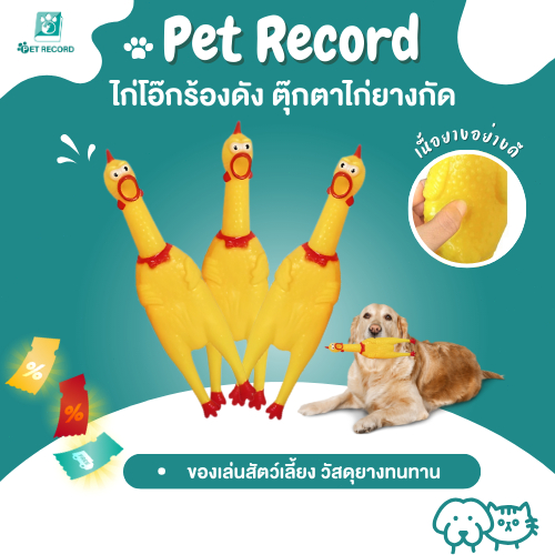 Pet Record ไก่โอ๊กร้องดัง ตุ๊กตาไก่ ของเล่นมีเสียง ของเล่นยางกัด