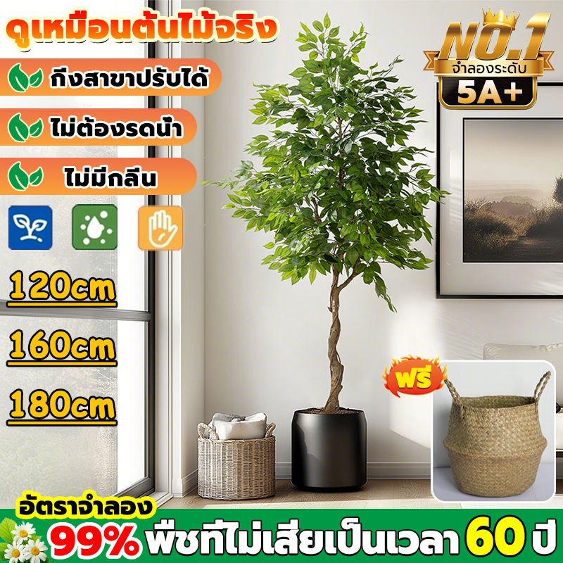 🌴จัดส่ง 24 ชม.🌴 ต้นไม้ปลอมใหญ่ ต้นไม้ปลอม ฟรี กระถาง ก้านหนา ต้นไม้ปลอมสวยๆ 120/160/180CM