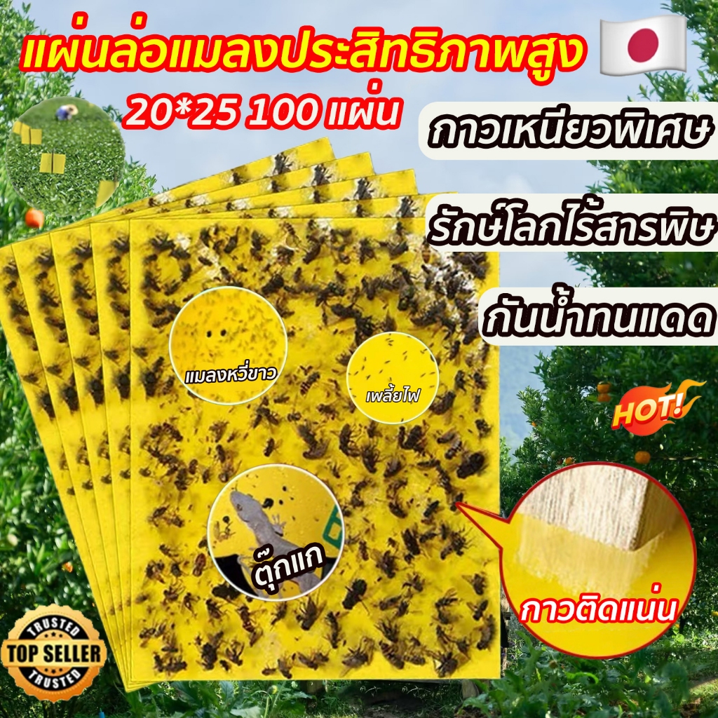แผ่นกาวดักแมลง แผ่นล่อแมลงประสิทธิภาพสูง กาวเหนียวพิเศษ กันน้ำทนแดด รักษ์โลกไร้สารพิษ กระดาษจับแมลง ดักแมลงศัตรูพืช