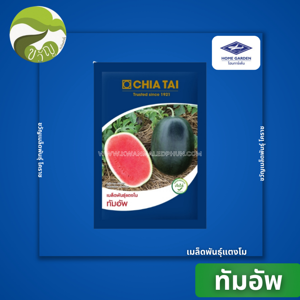 แตงโมลูกผสม ทัมอัพ 40กรัม ลอตใหม่ล่าสุด❗️❗️พร้อมส่ง