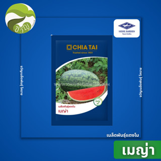 แตงโมลูกผสม แตงโม เมญ่า 40 กรัม เจียไต๋ ลอตใหม่ล่าสุด❗️❗️