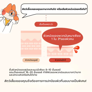 [Junglemonster] Cream Ceramidog For Dog and Cat ครีมทาอุ้งเท้าสําหรับสัตว์เลี้ยง เพิ่มความชุ่มชื้น