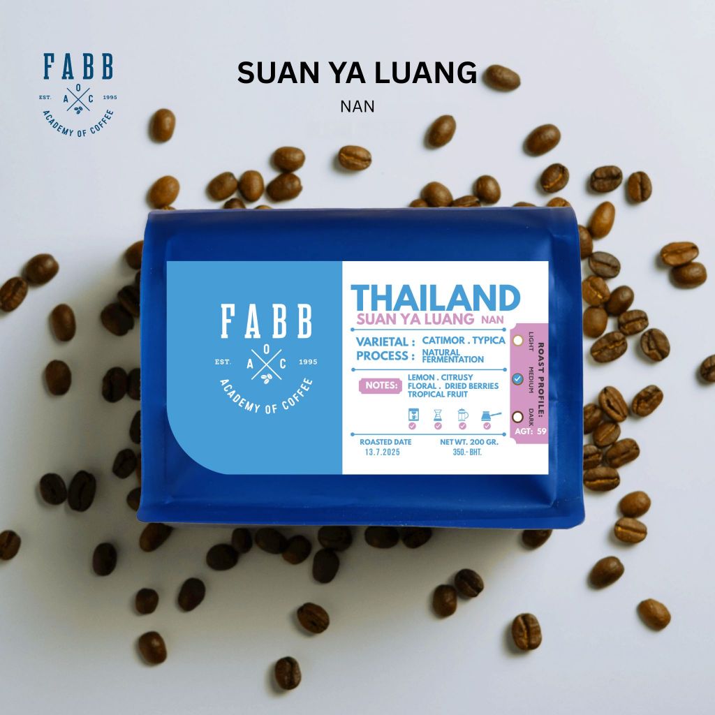 FABB เมล็ดกาแฟ คั่วกลาง Thailand- Suan Ya Luang, Nan