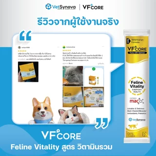 VFcore Feline Vitality วิตามินแมวเลีย สูตร บำรุงร่างกาย 1 กล่อง (30 ซอง)