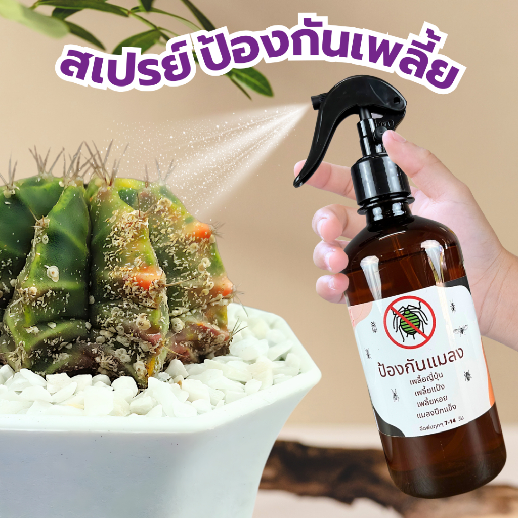 สเปรย์ป้องกันและเพลี้ยTHEAP