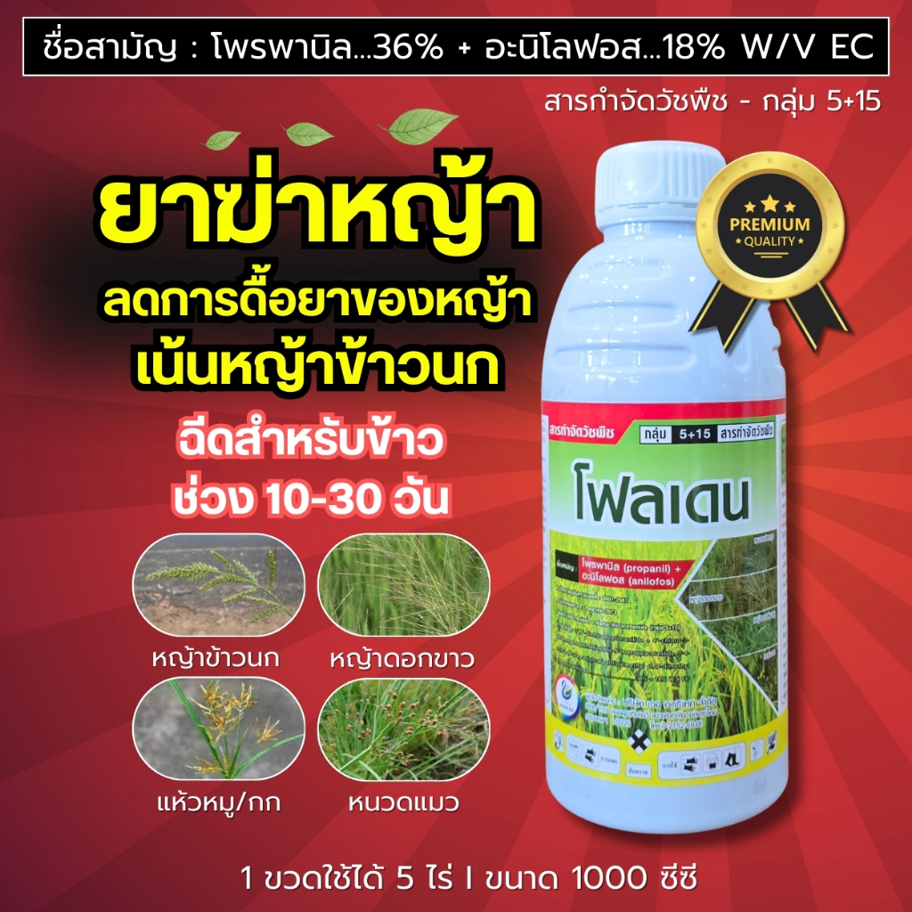 โฟลเดน (โพรพานิล+อะนิโลฟอส) เก็บหญ้าในนาข้าว เน้นหญ้าข้าวนก ดอกขาว เดือย กก หนวดแมว ฉีดช่วง 10-30 วัน : 1 ลิตร