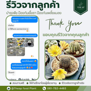 สเปรย์บำรุงพืช สูตรกระบองเพชร กล้วยไม้ และไม้อวบน้ำ​ THEAP Cactus