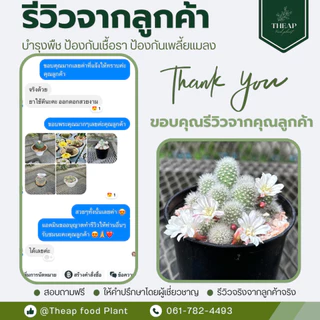 สเปรย์บำรุงพืช สูตรกระบองเพชร กล้วยไม้ และไม้อวบน้ำ​ THEAP Cactus