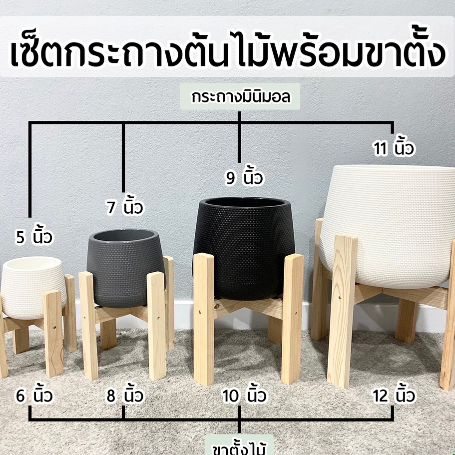 (งานนำเข้าพลาสติกหนา)ชุดเซ็ตกระถางต้นไม้+พร้อมขาตั้งตรง 6นิ้ว 8นิ้ว 10นิ้ว 14นิ้ว กระถางมีจานรองในตัวขาตั้งไม้สนอย่างดี