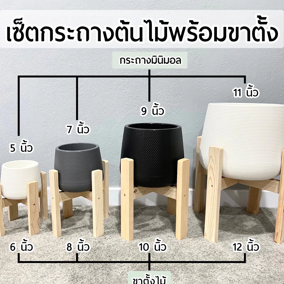 (งานนำเข้าพลาสติกหนา)ชุดเซ็ตกระถางต้นไม้+พร้อมขาตั้งตรง 6นิ้ว 8นิ้ว 10นิ้ว 14นิ้ว กระถางมีจานรองในตัวขาตั้งไม้สนอย่างดี