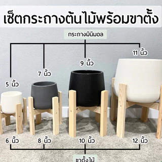 (งานนำเข้าพลาสติกหนา)ชุดเซ็ตกระถางต้นไม้+พร้อมขาตั้งตรง 6นิ้ว 8นิ้ว 10นิ้ว 14นิ้ว กระถางมีจานรองในตัวขาตั้งไม้สนอย่างดี