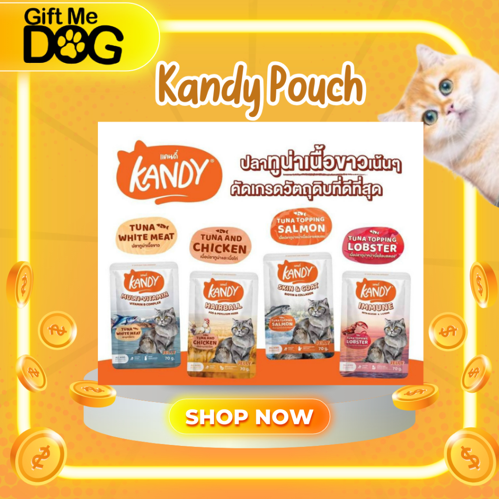 1โหล/12ซอง Kandy แคนดี้ อาหารเปียกแมว ไม่ใส่เกลือ ผลิตจากปลาเนื้อขาว ขนาด70g/ซอง
