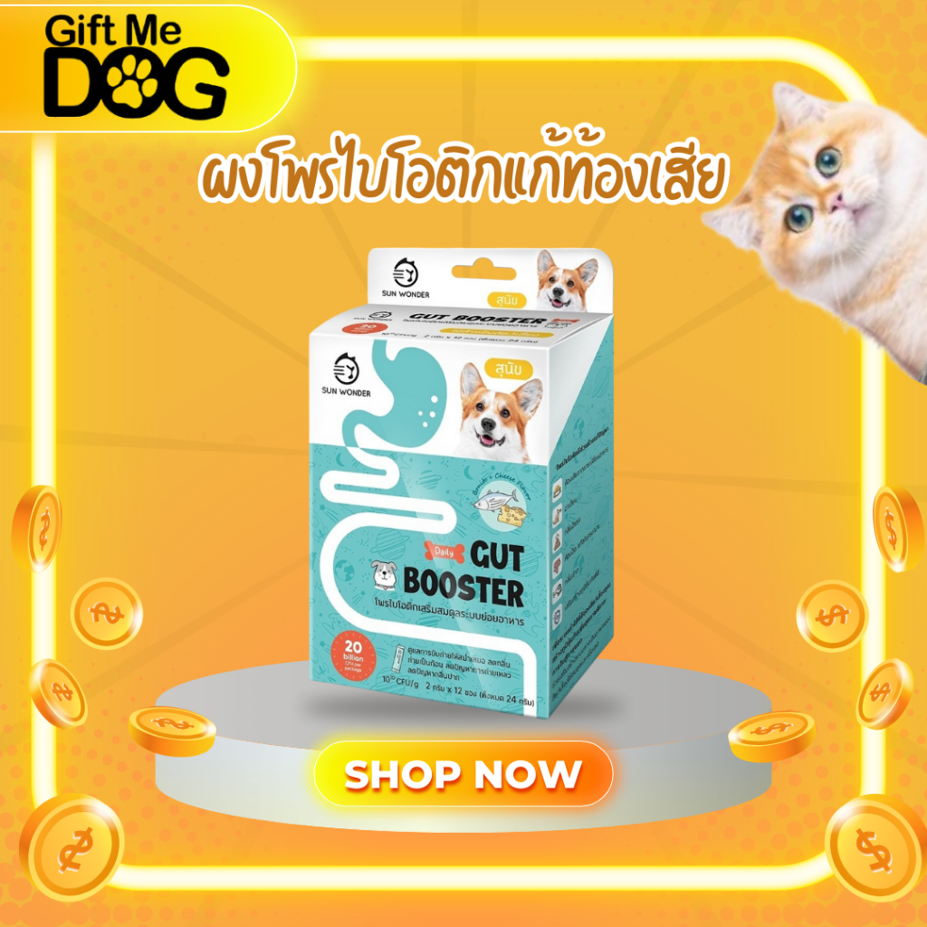 Gut Booster Dog สำหรับสุนัข 🐶 โพรไบโอติก แก้ท้องเสีย ใช้ดี เห็นผลไว 💕