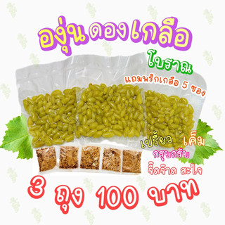 องุ่นดอง 3 ถุง เปรี้ยว เค็ม จี๊ดจ๊าดสะใจ🔥 [น้ำหนักถุงละ 150 กรัม] ฟรีพริกเกลือนัวๆ