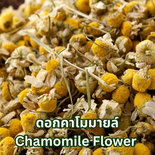 ชาดอกคาโมมายล์ (Chamomile Flower Tea)