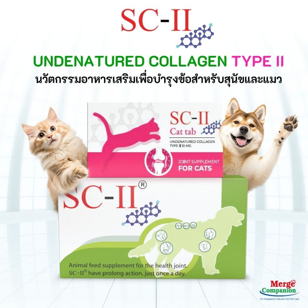 SC-II อาหารเสริมเพื่อการบำรุงข้อสำหรับสุนัขและแมว