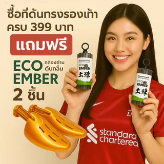 (#2) LEOMAX กล่องดูดความชื้น-กลิ่น สารธรรมชาติ กล่องทรงถ่าน รุ่น ECO EMBER