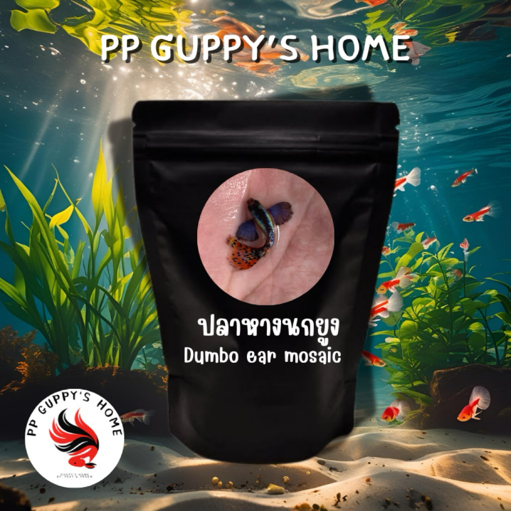 อาหารปลาหางนกยูง PP GUPPY HOME 🏠