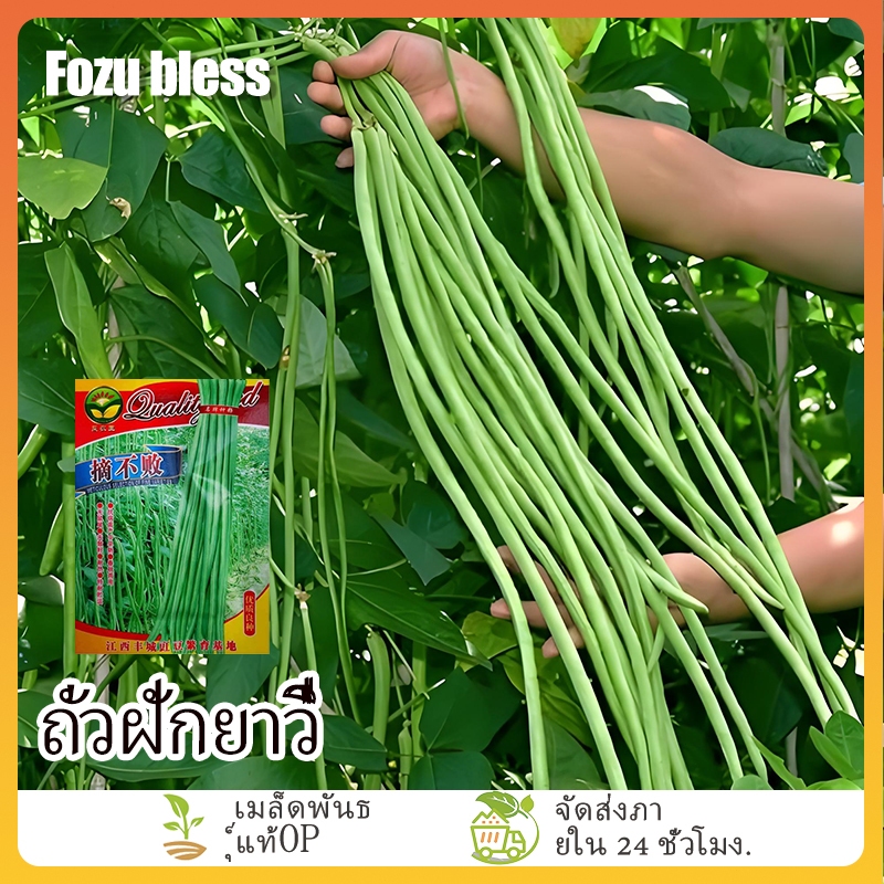 FOZU ถั่วฝักยาวพันธุ์เนื้อหนา ส่งฟรี 🔥 ลดราคา [ซื้อ 5 แถม 5] เนื้อหนา - น้ำหนักดี - 45 เมล็ด/ถุง