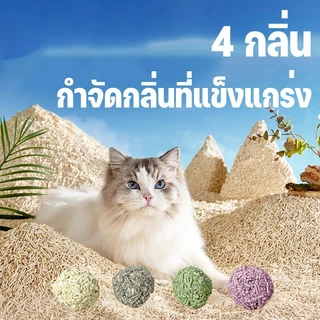ทรายแมวเต้าหู้ 5ชิ้น ออร์แกนิค100% ผลิตจากกากถั่วเหลืองธรรมชาติ ทรายแมว Cat Litter 6L ทรายแมวเต้าหู้ ทรายเต้าหู้