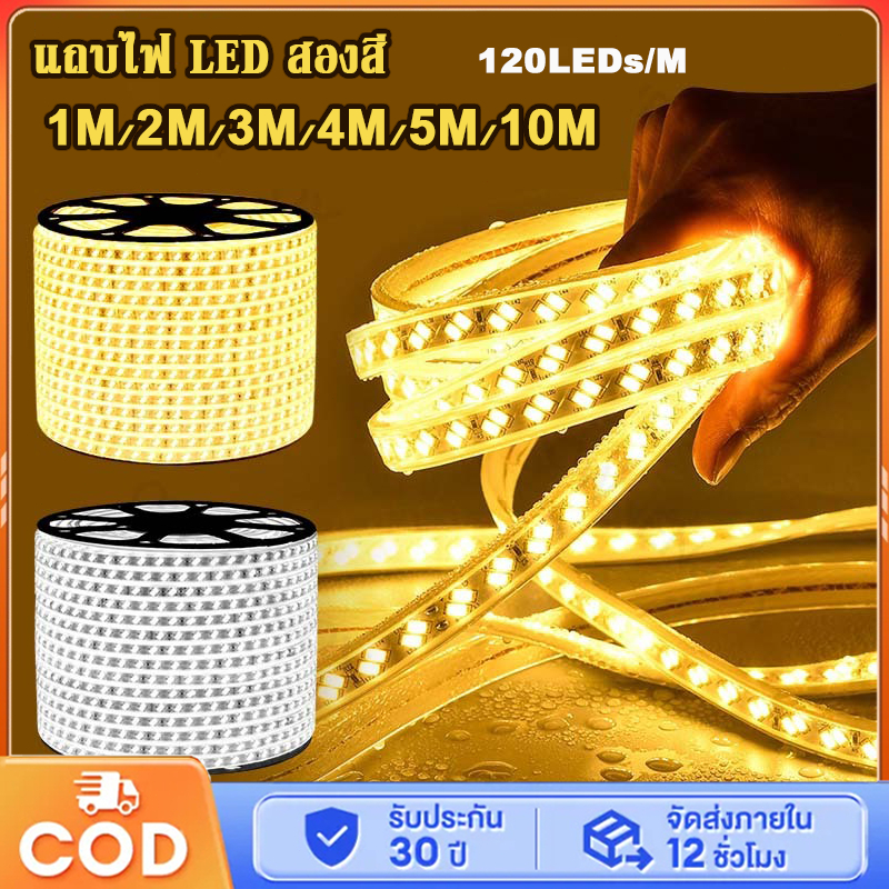 ไฟนีออน แถบไฟนีออน LED 220V ไฟตกแต่ง ไฟเส้น 1M/2M/3M/4M/5M/10M สำหรับตกแต่งบ้าน/รถ/อาคาร ไฟเส้นแต่งห้อง