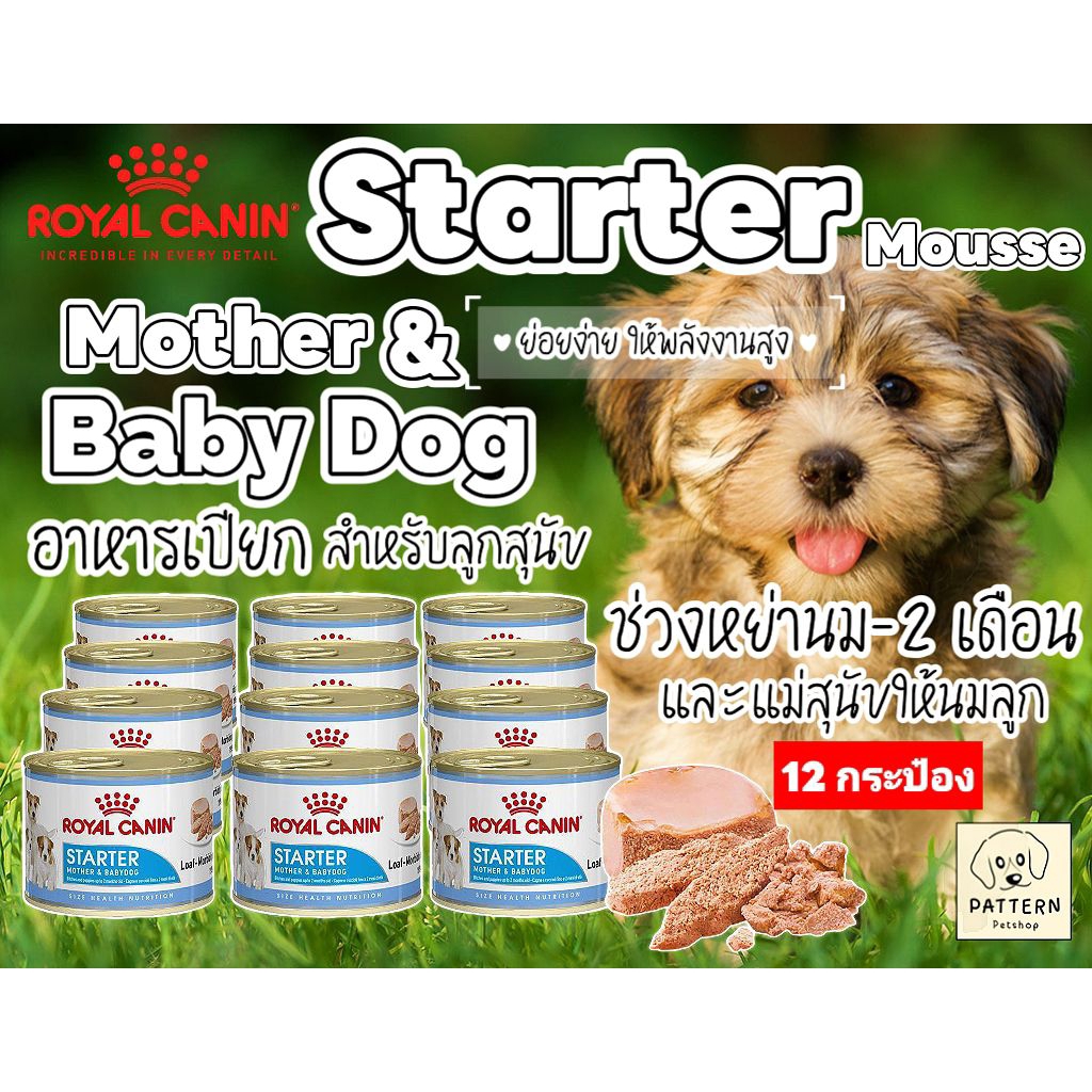 Royal Canin Starter Mousse Mother & Baby อาหารเปียกสำหรับลูกสุนัขช่วงหย่านม –2 เดือน และแม่สุนัข