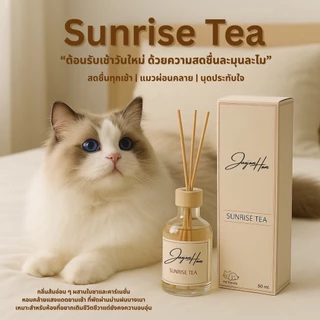 ก้านไม้หอม Pet Friendly [Sunrise Tea] หอมสดชื่นน้ำหอมปรับอากาศในบ้านปลอดภัยต่อหมาแมวไม่ฉุนไม่แสบจมูก