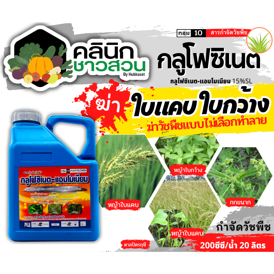 🥬 กลูโฟซิเนต (กลูโฟซิเนต-แอมโมเนียม) บรรจุ 4ลิตร กำจัดวัชพืชหลังงอกแบบไม่เลือกทำลาย ใช้กำจัดวัชพืชทั้งใบแคบ และใบกว้าง