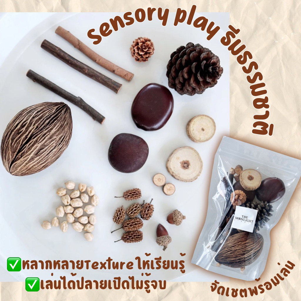 ชุดของเล่น Sensory play ธีมธรรมชาติสำหรับเด็ก