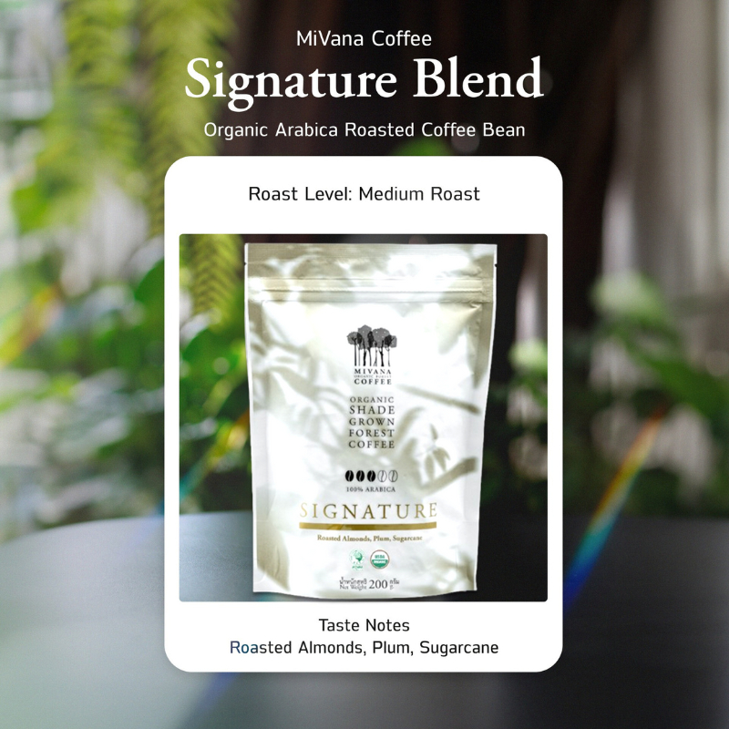 กาแฟมีวนา ซิกเนเจอร์เบลนด์ (คั่วกลาง) เมล็ดคั่ว Signature Blend Whole Beans 200g x2 ถุง