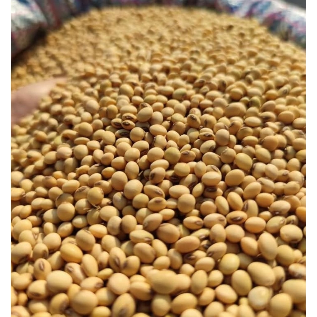 ถั่วเหลือง เกรดใช้ทำอาหาร 1กิโล
