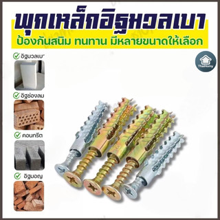 พุกเหล็ก+สกรู แพ็ค 10 ชุด พุกยึดอิฐมวลเบา พุกเหล็ก+สกรูเกลียวปล่อย สำหรับงานปูน อิฐมวลเบา