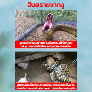 🐍โรยครั้งเดียว30ปีไม่มีงู🚫 ผงไล่งู ผงกำมะถันไล่งู ไม่กลัวฝน สามารถออกฤทธิ์กับแมลงมีพิษทุกชนิด เช่น ตะขาบ มด แมลงสาบ