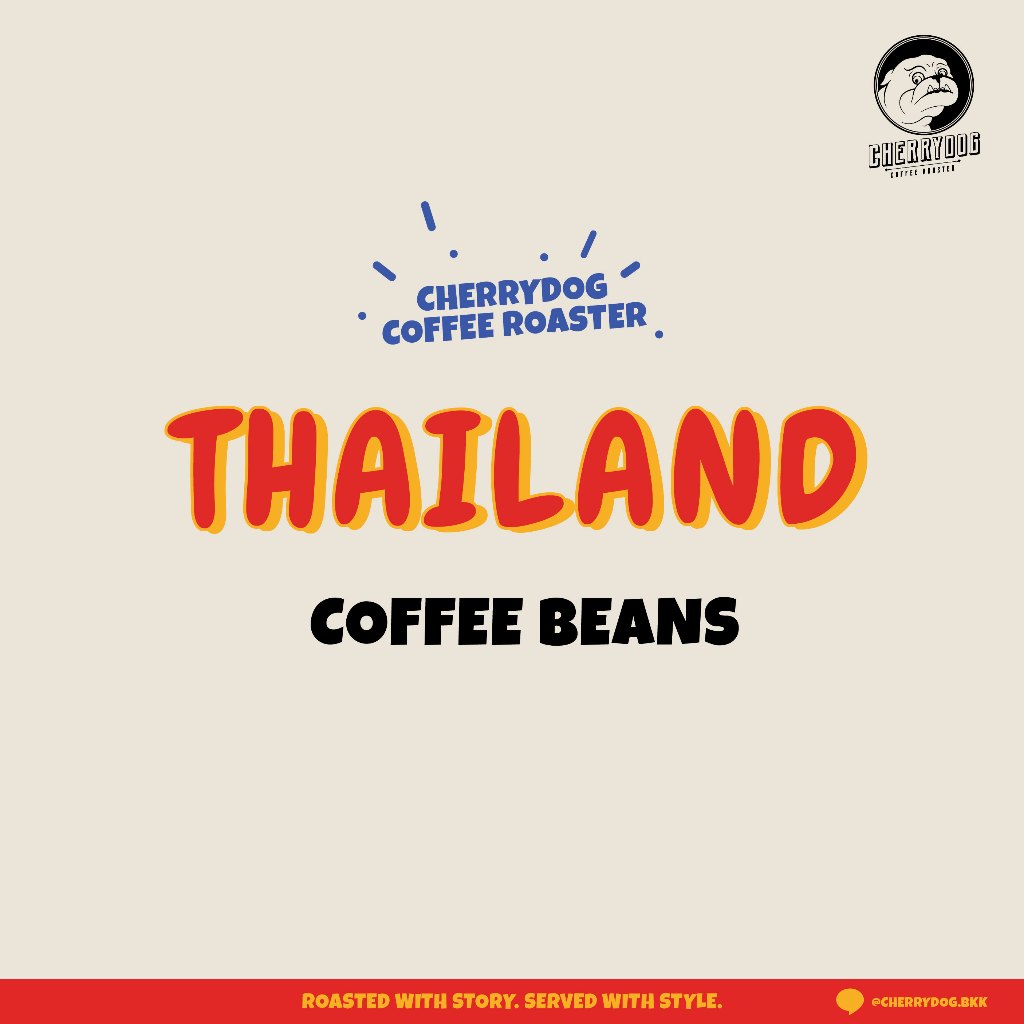 Cherrydog | เมล็ดกาแฟคั่ว ไทย Thailand Single Origin for Filter | อราบิก้า100%