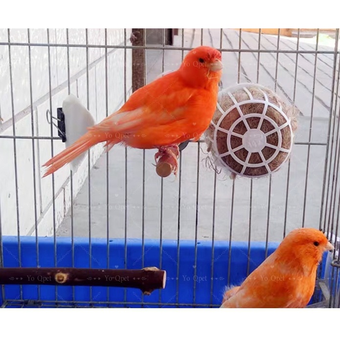 กล่องใส่หญ้าราฟเฟีย ใยมะพร้าว เส้นใยกัญชง สำหรับนกแก้ว อุปกรณ์ตกแต่งกรง - รูปที่ 2