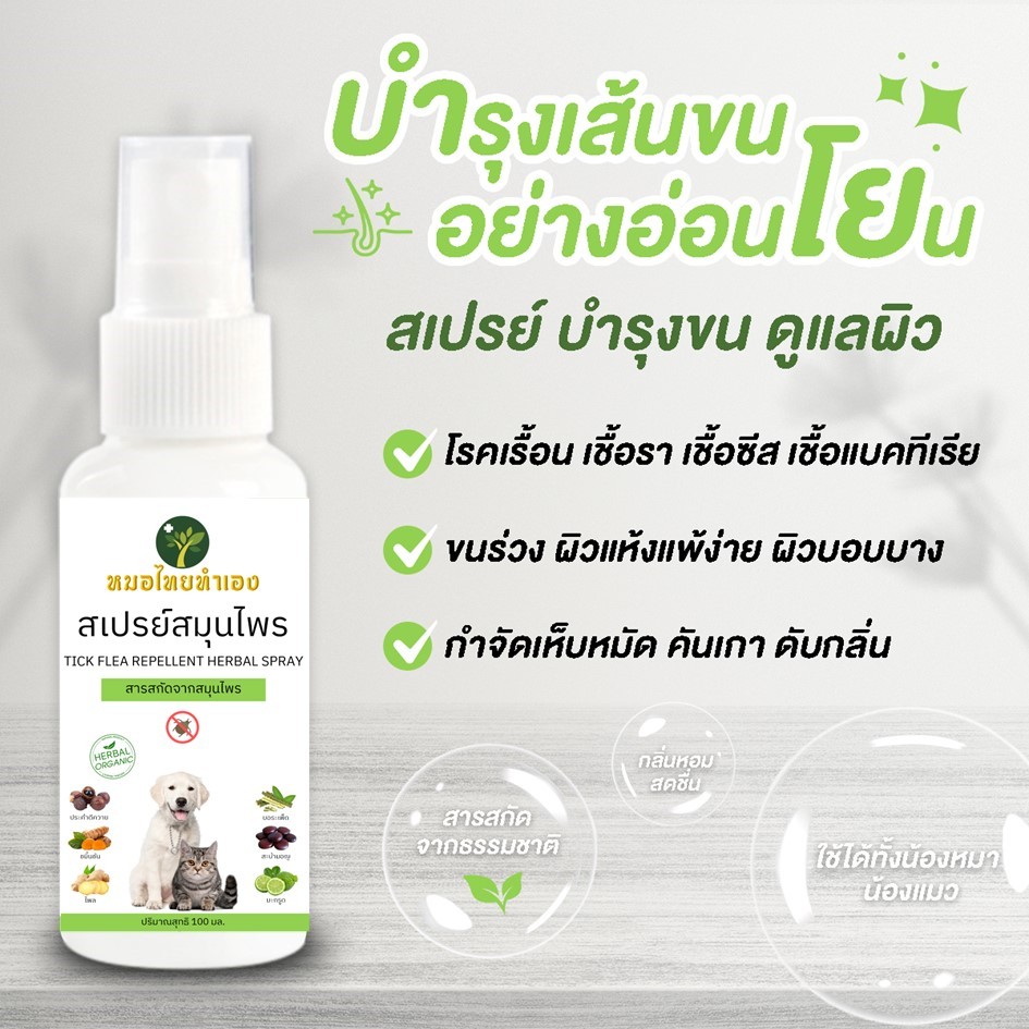 รูปภาพ 8