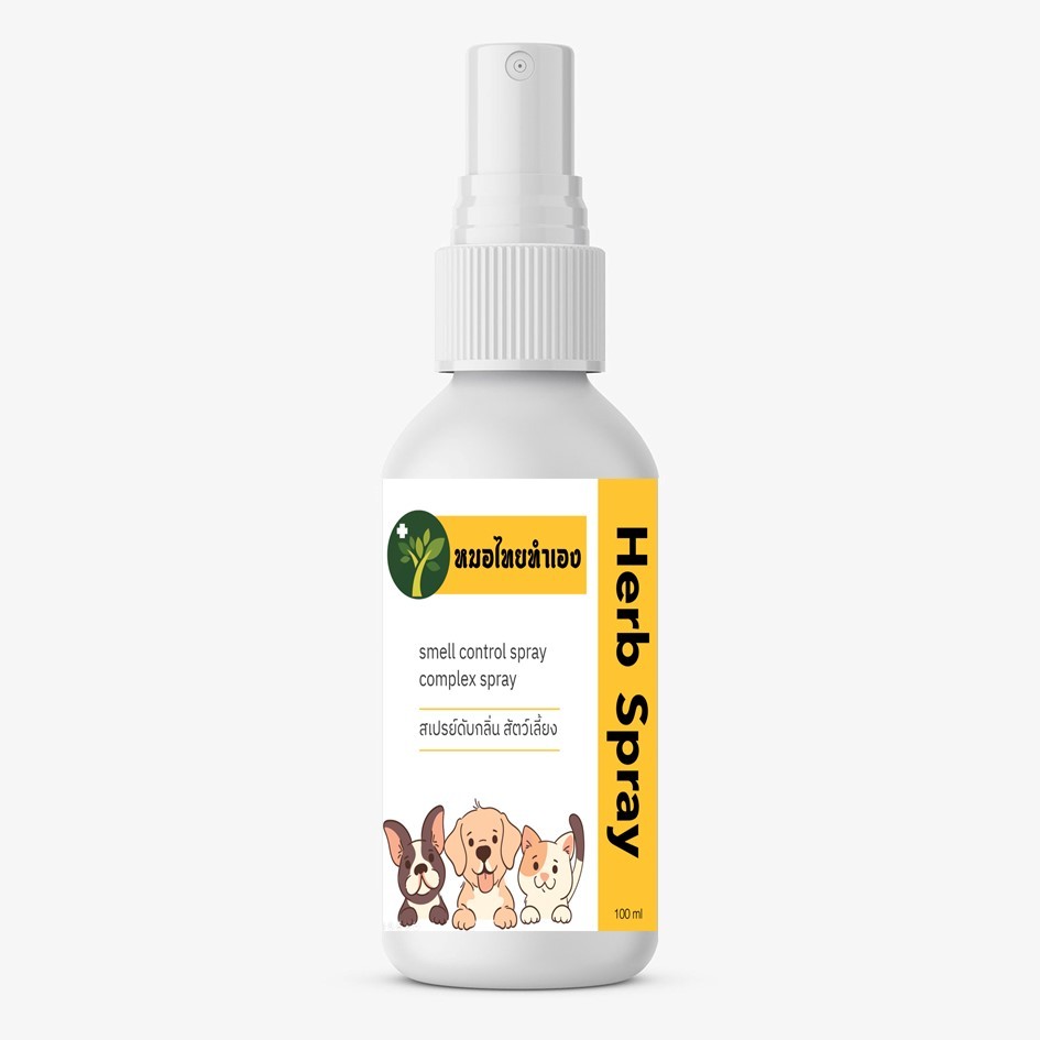 รูปภาพ 5