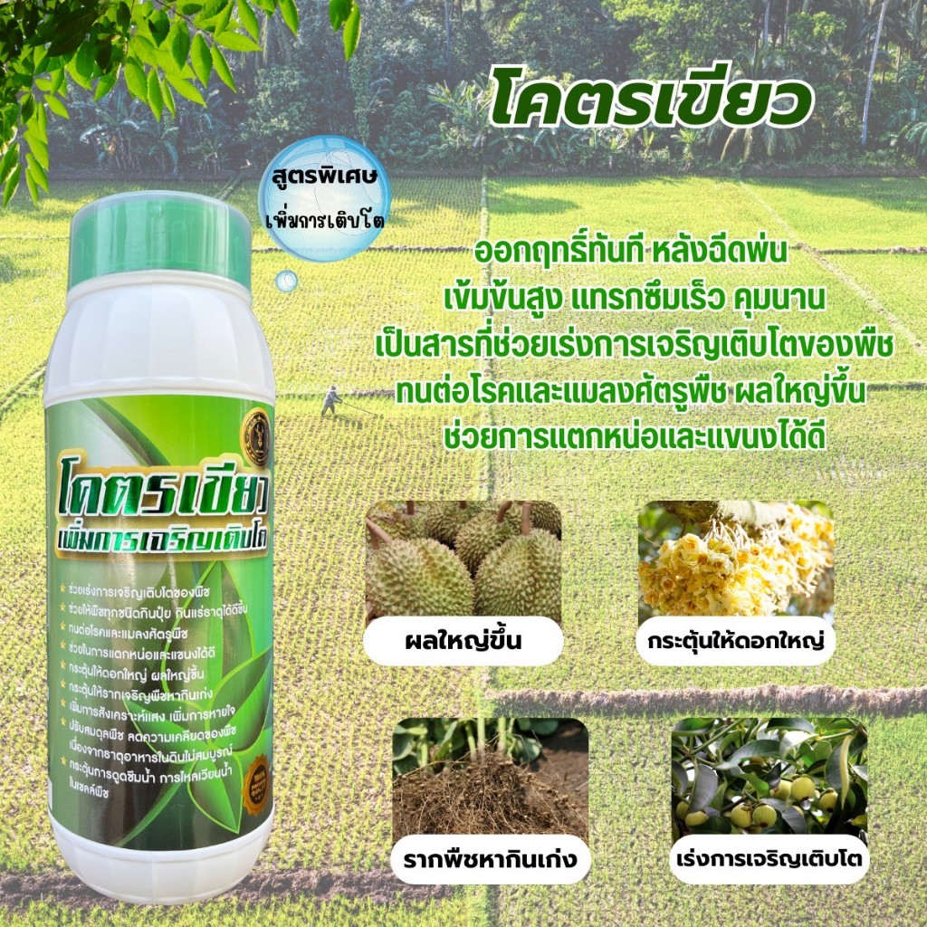 โคตรเขียว ขนาด 1 ลิตร สาหร่าย อมิโน  ช่วยการเจริญเติบโตของพืช ติดดอกดี ออกผลดก