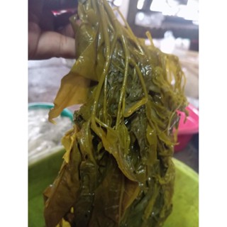 ผักกุ่มน้ำ..ดอง..1กิโล