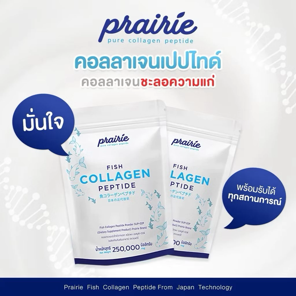 แพร์รี่คอลลาเจนเปปไทด์ ผลิตภัณฑ์เสริมอาหารเพื่อสุขภาพและ ผิวพรรณ thumbnail 4