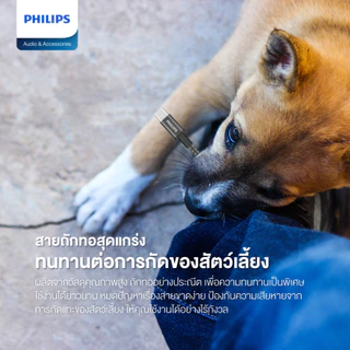 Philips สายชาร์จเร็ว 240W - Type C to C (USB 2.0) Power Delivery (PD) ยาว 1 เมตร รุ่น DLC7030C